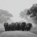 AQNY3Vr93sgEOhnrANka5sNHNBeB_jbT5Y6qekLRJJMFZ1Xqvpgx7AKAK7EsVgFkZcwcV6ssVQKOmR1u4K6yjpRLtRvc565U7lQkzfc0vxSSKiHjDLp_NECqTPo8HsI9d8Vi_0h0IiXfAfLl8lwh7CLXYz2KGw