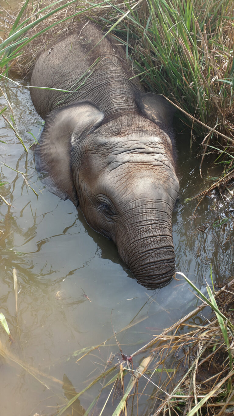 AQMBlyQLZFNx-xjc1UvZONr7TgI9pxvpU9A2BWGH2vVr5uy7SCVCTPdxK97Ezmz89Z92mYx_blLTTP-IDufQnYPU8RB-zoDhEwjn6zWLV1MmvLVDn6p3N4EkuKm7U6V920eWqs7l2nKyvK5iyhlvVfSTrvALYw