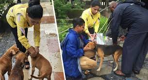 download - 2025-12-13T111319.300