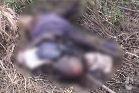 download - 2025-12-20T121235.144